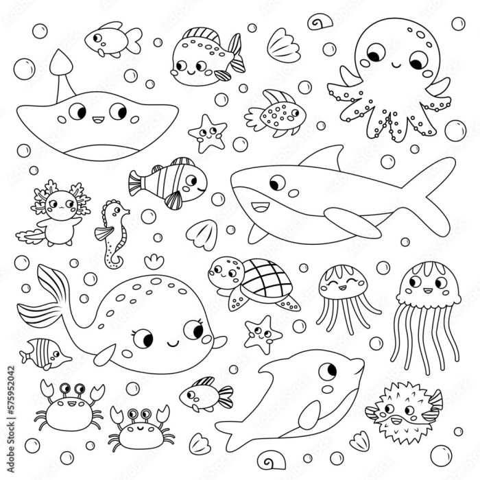 Sea animals coloring book